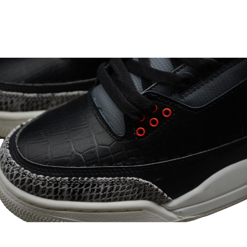 Air Jordan 3 "Animal Instinct 2.0"