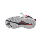 Air Jordan 8 "Alternate"