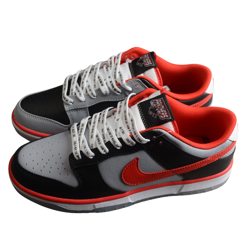 Nike Dunk Low "Clark Atlanta University Panthers bi - color"